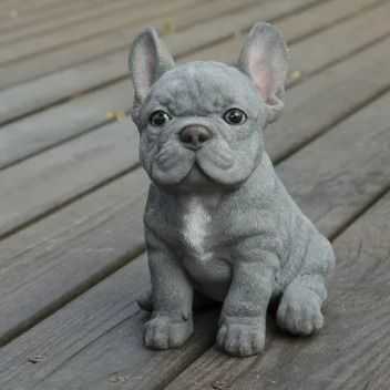 Frenchie2 - French Bulldog Male