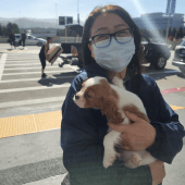 Lady hugging her Cavalier King Charles Spaniel puppy